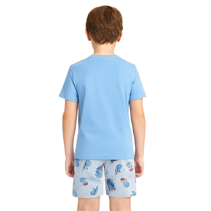 2 Piece Short Sleeve And Lightweight Graphic Tee And Shorts Set